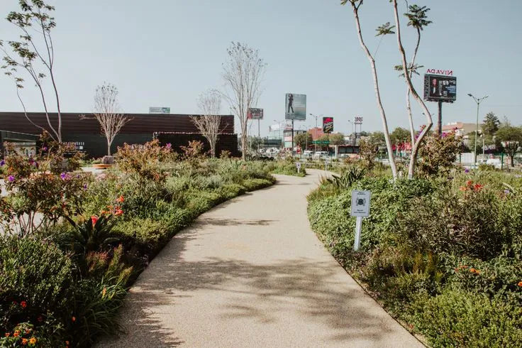 Tendencias en Diseño y Remodelación de Jardines Exteriores para 2024 en el Estado de México